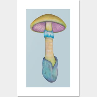 Death cap mushroom Posters and Art